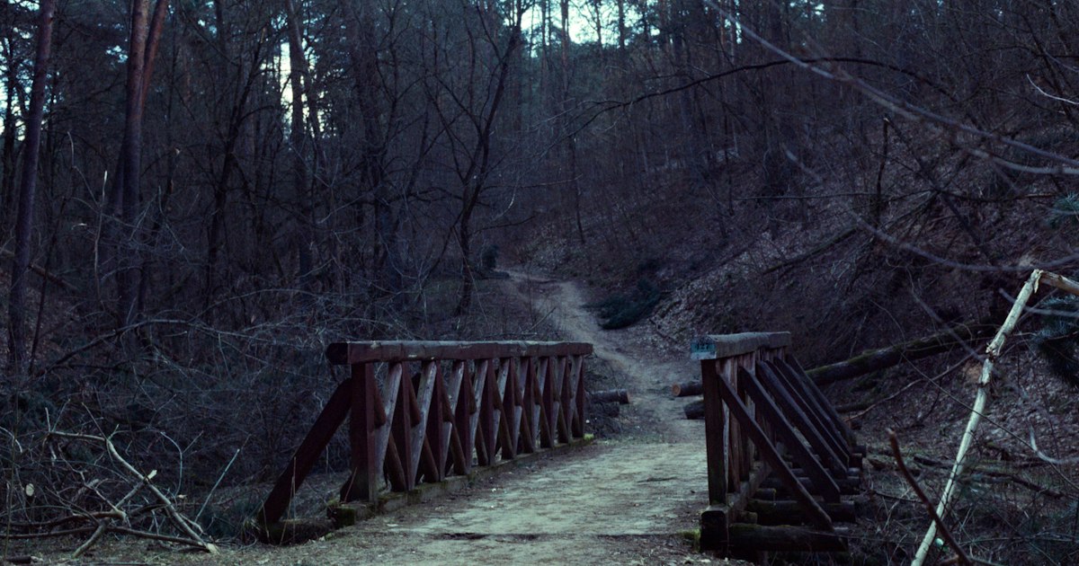 The Bridge Number: Healing the Hidden Rift in Your Numerology Chart